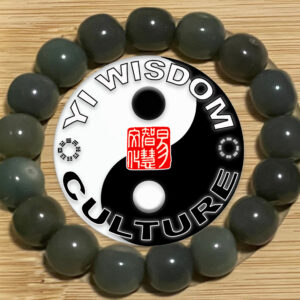 Yi Wisdom Longevity (Green) Bodhi Beads Bracelets - 2025 Tai Sui  Enhancement for Tiger